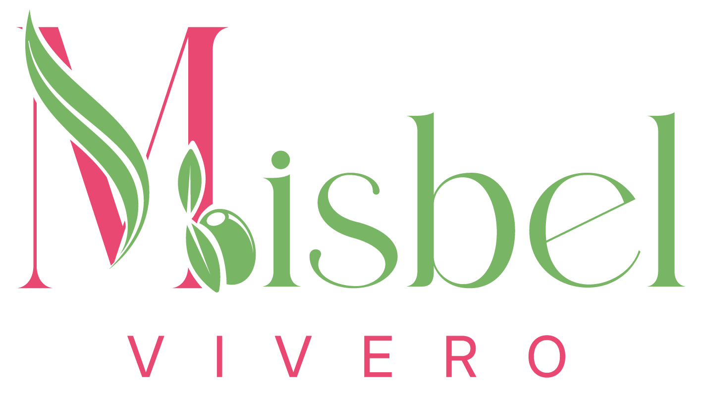 Vivero Misbel